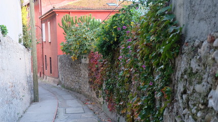 Fototapeta na wymiar Nice, street with green wall