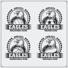 Volleyball, baseball, soccer and football logos and labels. Sport club emblems with eagle.