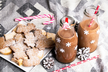 Christmas hot chocolate, sweet cookies  and colorful decorations