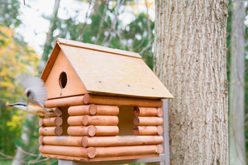 Obraz na płótnie Canvas Wooden birdhouse in a beautiful autumn Park