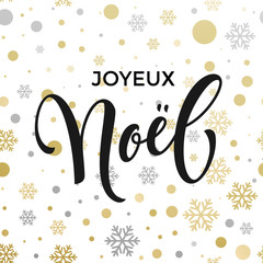 Christmas in France Joyeux Noel decorative vector greeting