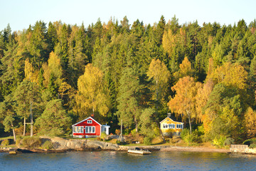 Fototapeta na wymiar Forest on banks in Stockholm suburbs. Sweden. Autumn time
