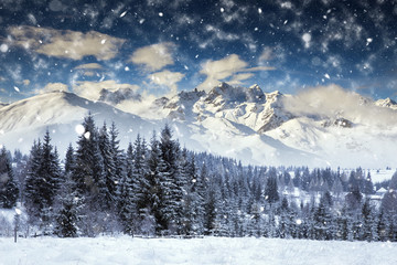 Fototapeta na wymiar Beautiful winter landscape with heavy blizzard. Christmas concept.
