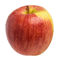 Perfect fresh wet red with yellow apple isolated on white background. Single juicy fruit with water drops in full depth of field with clipping path.