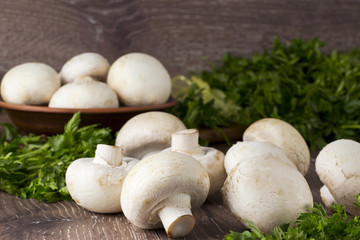 edible raw mushrooms