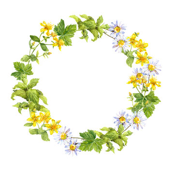 Floral wreath. Herbs, meadow flowers. Watercolor round border