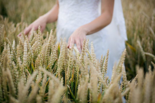 The woman tenderly touches the wheat