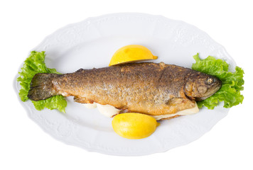 Grilled trout with melted cheese and lemons.