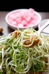 파닭, chicken with green onion, paa dak, padak