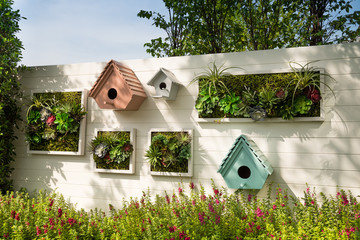 Decorated wall vertical garden, Background.