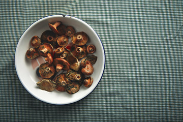 Top shot of wild mushrooms in a white porcelain bowl on a table covered with a white and blue gingham tablecloth