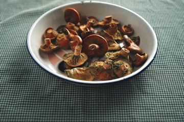 A bowl of fresh forest mushrooms ready to be cooked on a table covered with blue and white checkered towel