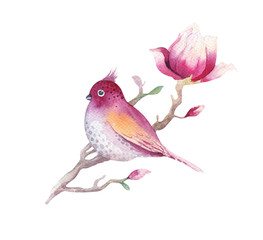 Watercolor Painting Magnolia blossom flower and bird wallpaper d