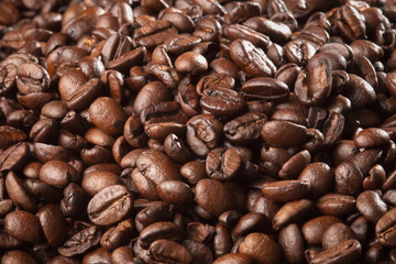 coffee beans close-up filling the whole frame