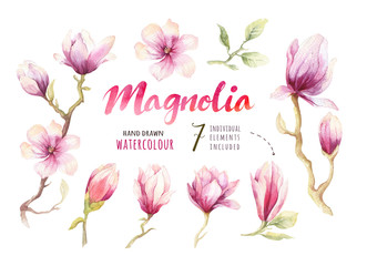 Naklejka premium Watercolor Painting Magnolia blossom flower wallpaper decoration