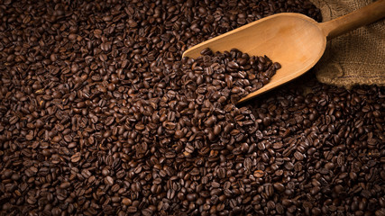 coffee beans with serving spoon full screen, with copy space
