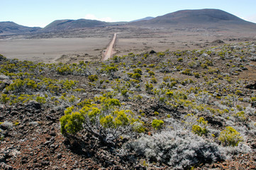 Road to Piton de la Fournaise volcano on La Reunion