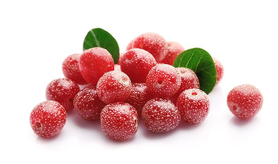 Loch silver plant isolated