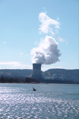 Atomkraftwerk in Leibstadt, Schweiz, mit Möve