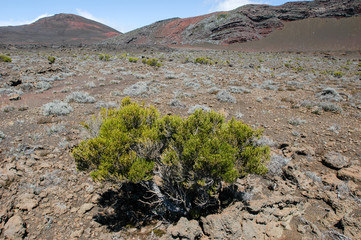 Piton de la Fournaise volcano on La Reunion island