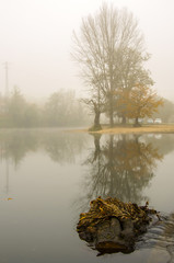 Autumn reflections