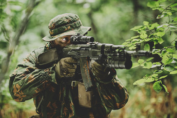 paratrooper airborne infantry in the forest