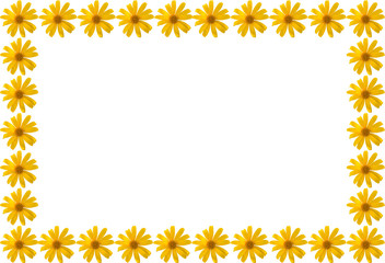 Frame Border Beautiful yellow flowers seamless, Tree marigold, Mexican tournesol, Mexican sunflower, Japanese sunflower