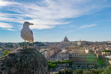 Il gabbiano e San Pietro