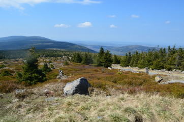 góry © Tomasz