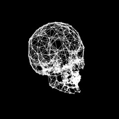 Abstract skull from lines and dots.Isolated on black background.