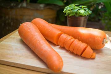 fresh carrots on wooden board