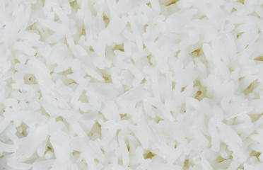 cooked rice on white background