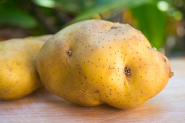 closeup fresh potatoes on wooden table