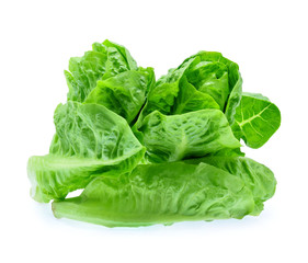 Fototapeta premium fresh baby cos (lettuce) on white background