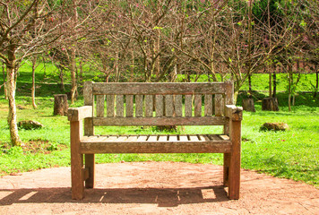 bench in the garden