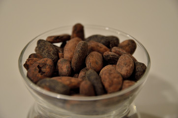 bacche di cacao
