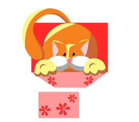 Fluffy kitten in a box. Surprise on holiday.