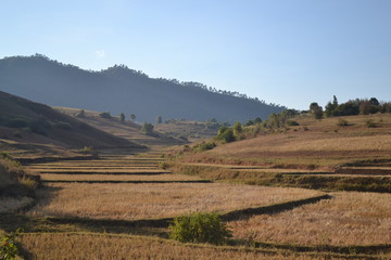 Fototapeta na wymiar Myanmar landscape