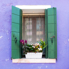 Colorful window with open shutters and flower pot on the Venetian island of Burano