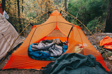 Beautiful orange tent in the woods