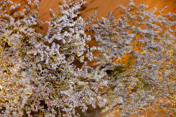 dried flowers violet color