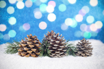 Fototapeta na wymiar Group of pine trees and some branches on a white snow and blurred blue background.