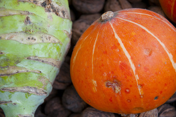 kohlrabi pumpkin and walnut vegetables background