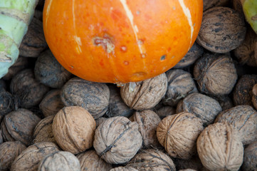 kohlrabi pumpkin and walnut vegetables background