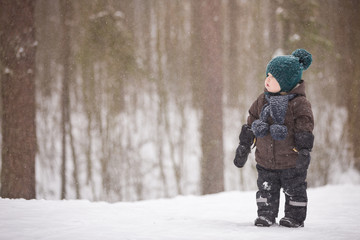 Portrait of adorable little toddler boy walking in the winter forest and having fun with snow. Child enjoying winter. Child watching falling snow outdoors. Winter, Christmas and lifestyle concept.