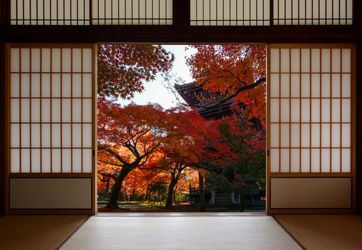 Fototapeta Ancient pagoda and beautiful red fall maples seen through a traditional Japanese doorway in autumn