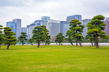 Obraz premium Oriental park in Tokyo, Japan