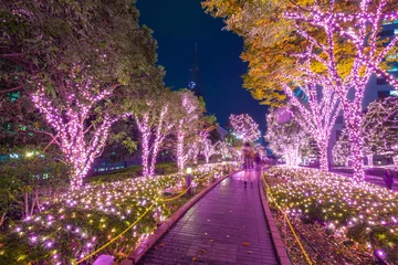 Peel and stick wall murals Japan Winter illumination in Tokyo at Shinjuku district, Japan