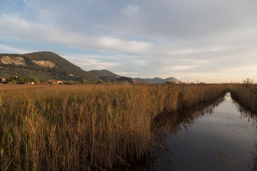 Piccolo torrente in campagna.