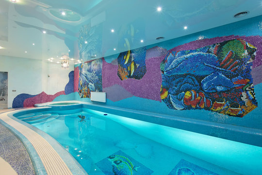 Spa swimming pool design with mosaic fish on the wall